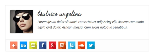Simple Author Box ekran görüntüsü 1