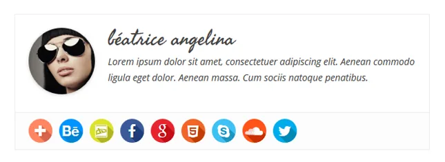 Simple Author Box ekran görüntüsü 2