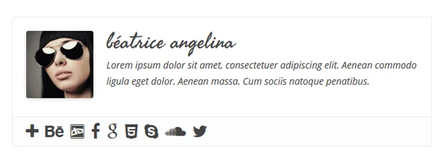 Simple Author Box ekran görüntüsü 3