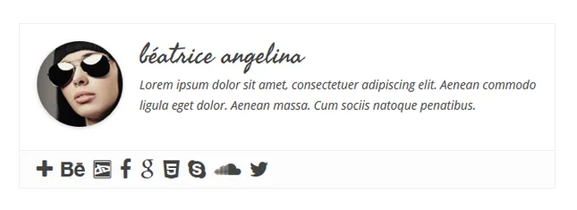 Simple Author Box ekran görüntüsü 4