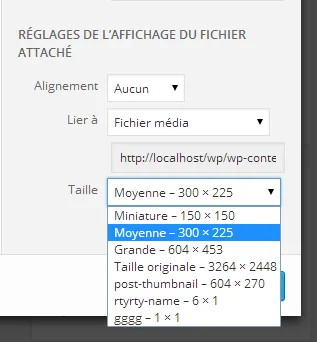 Simple Image Sizes ekran görüntüsü 3