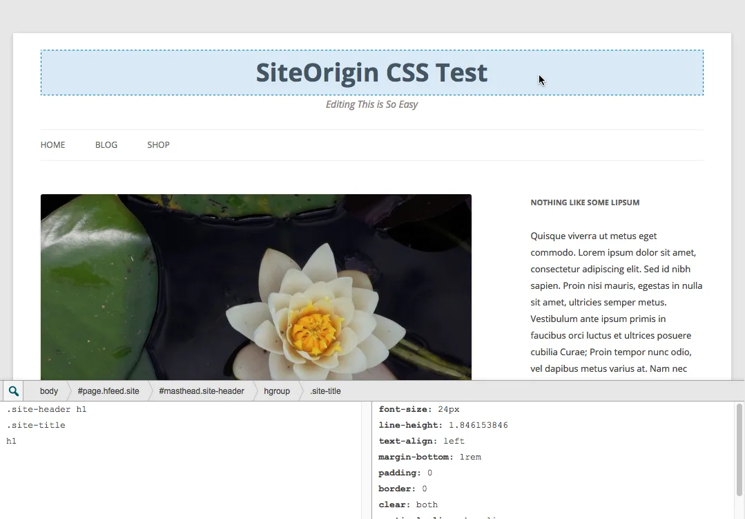 SiteOrigin CSS ekran görüntüsü 1