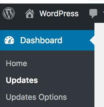 Easy Updates Manager ekran görüntüsü 1