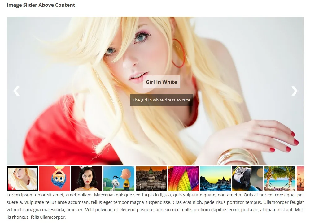 Ultimate Responsive Image Slider ekran görüntüsü 1