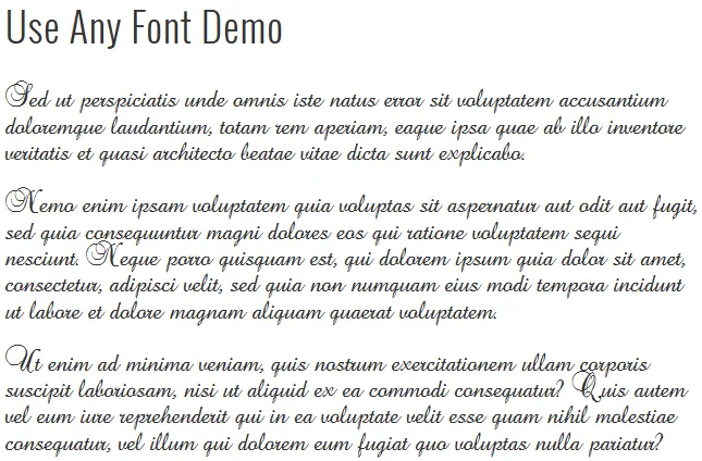 Use Any Font | Custom Font Uploader ekran görüntüsü 1
