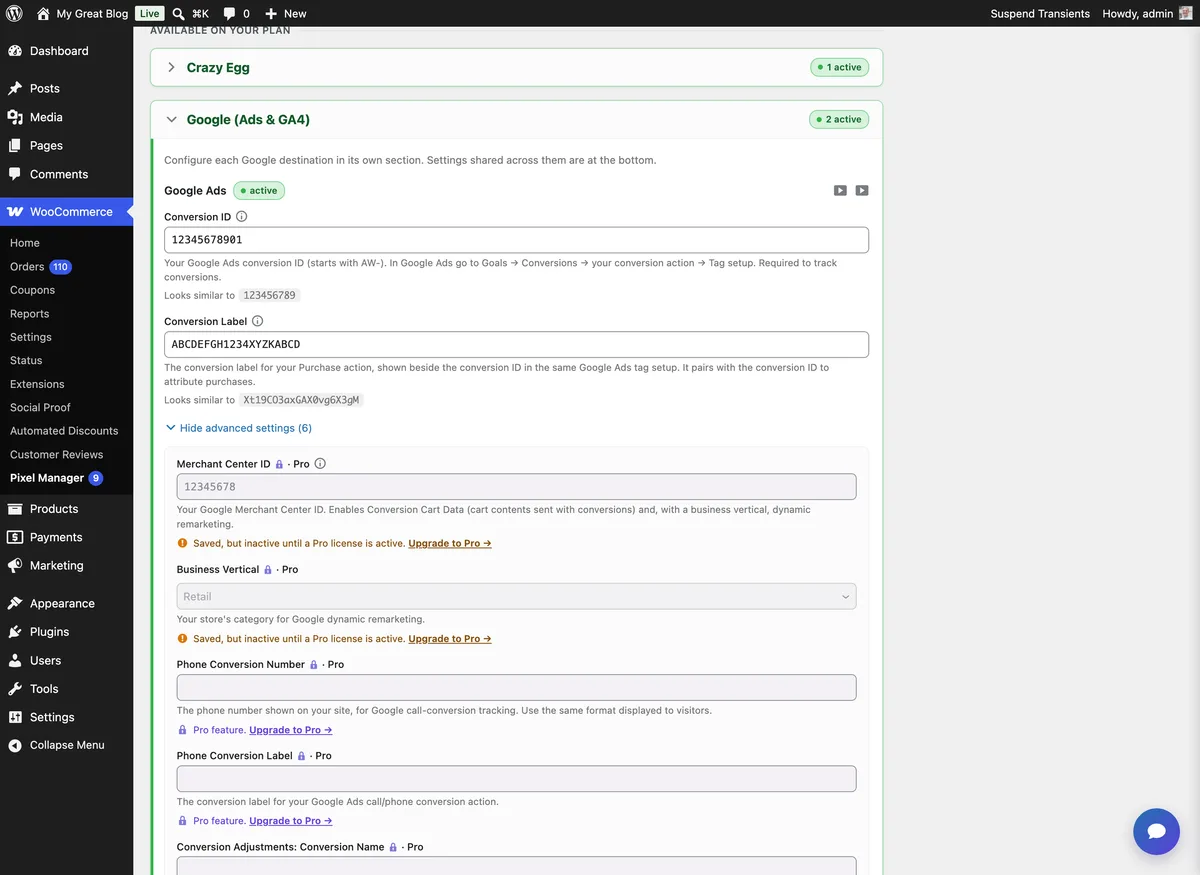 Pixel Manager for WooCommerce – Conversion Tracking, Google Ads, GA4, TikTok, Dynamic Remarketing ekran görüntüsü 3