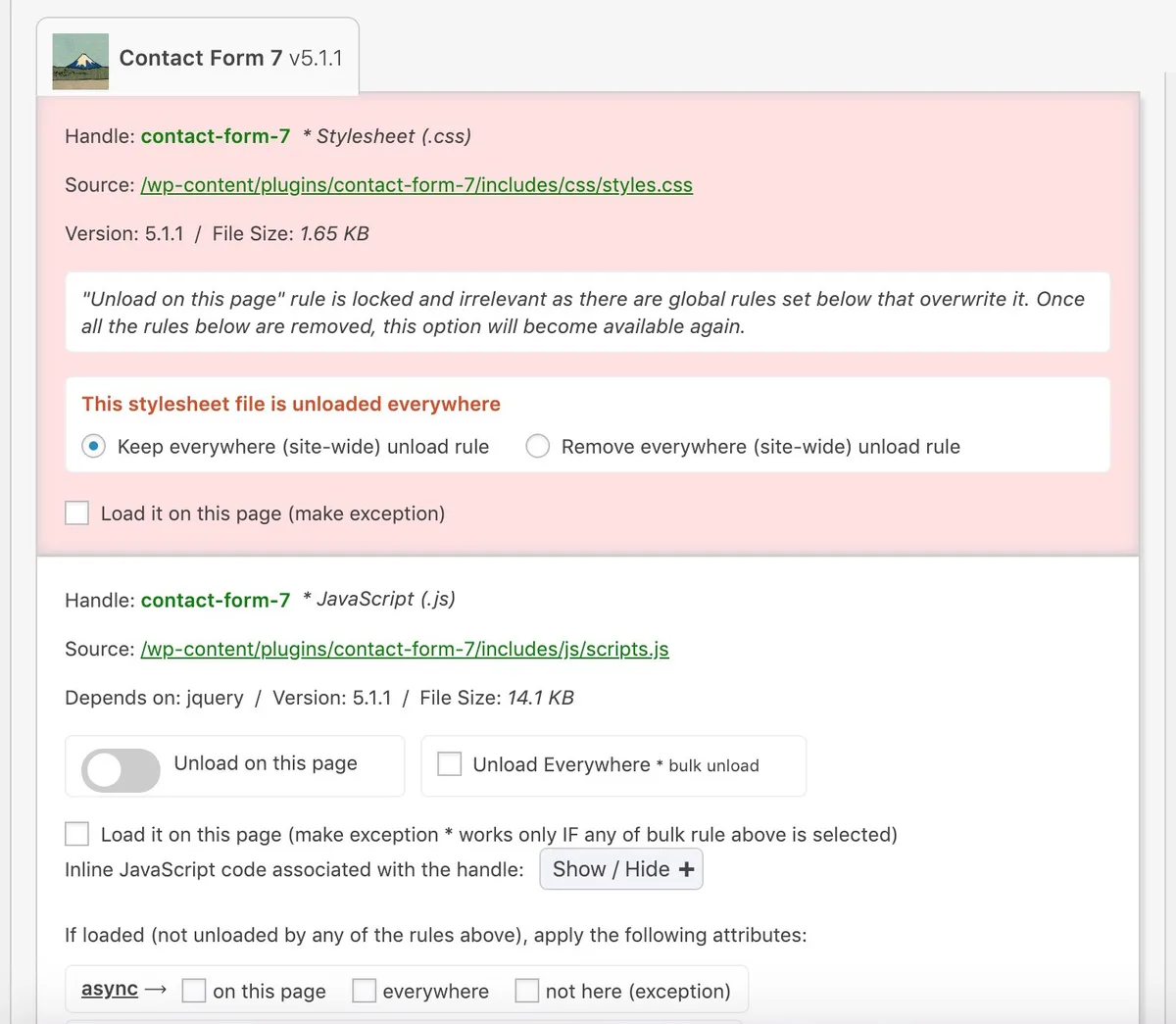 Asset CleanUp: Page Speed Booster ekran görüntüsü 1