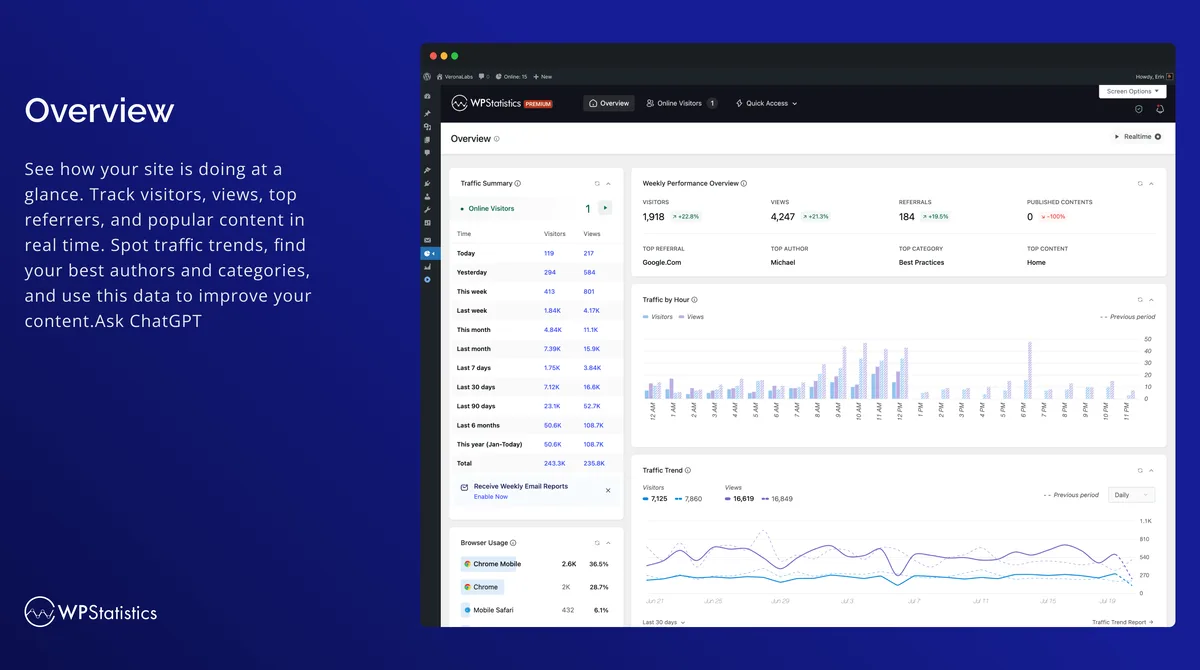 WP Statistics – Simple, privacy-friendly Google Analytics alternative ekran görüntüsü 1