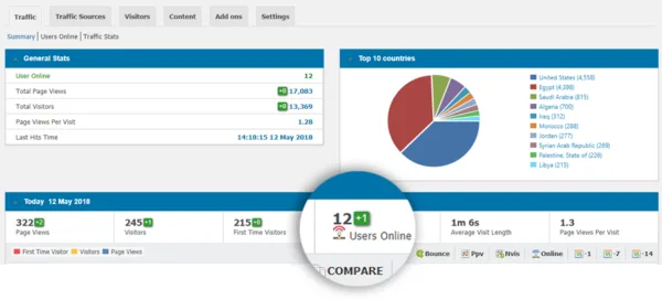 WP Visitor Statistics (Real Time Traffic) ekran görüntüsü 3