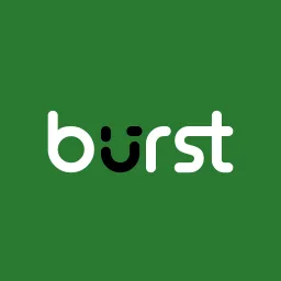 Burst Statistics WordPress analitik eklentisi