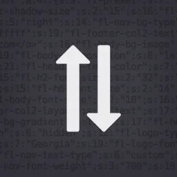 Customizer Export/Import WordPress eklentisi arayüzü