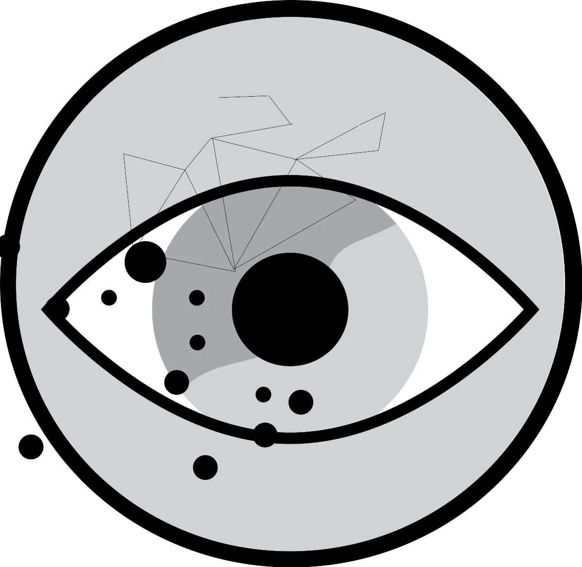 Dynamic Visibility for Elementor eklentisi ile Elementor widget'larını koşullu olarak gösterme/gizleme