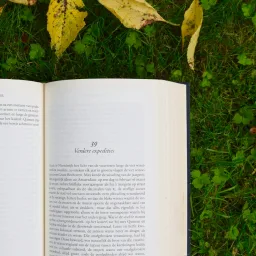 Public Post Preview eklentisi ile WordPress taslak yazı önizleme ekranı
