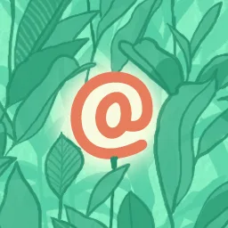 WP Mail Logging eklentisi ile WordPress e-posta kayıtlarını görüntüleme