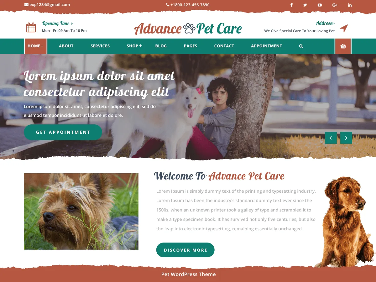 Advance Pet Care teması ile oluşturulmuş evcil hayvan bakım web sitesi örneği