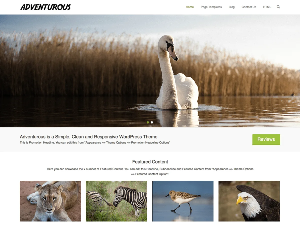 Adventurous web sitesi teması önizlemesi