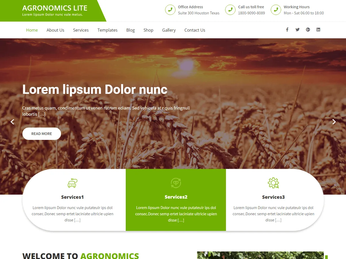 Agronomics Lite web sitesi teması