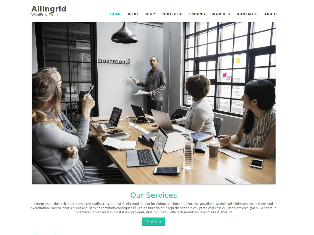 Allingrid web sitesi teması özellikleri
