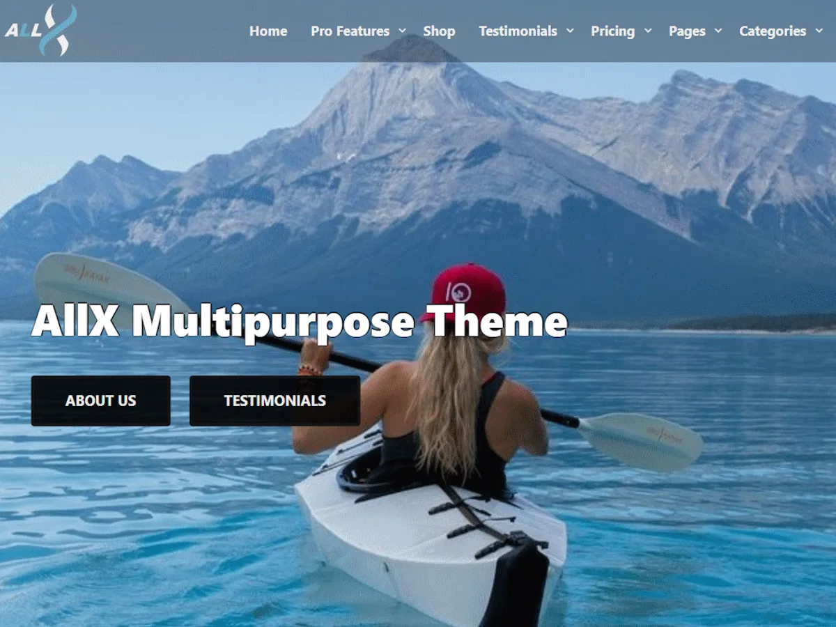 AllX web sitesi teması ile oluşturulmuş modern bir web sitesi görünümü