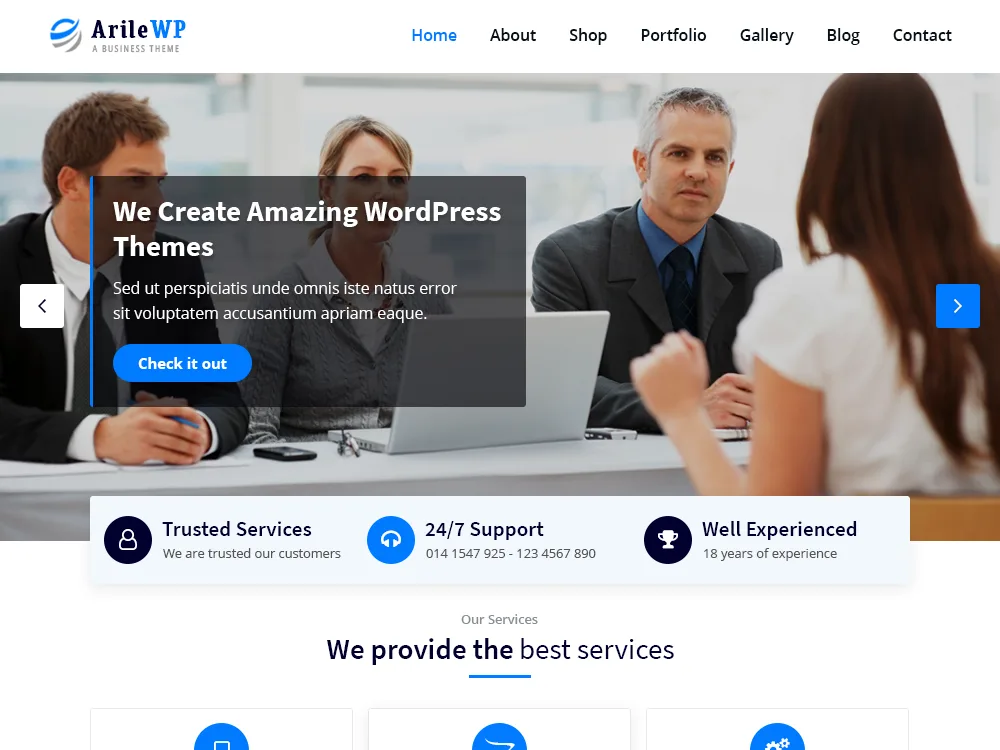 ArileWP web sitesi teması özellikleri