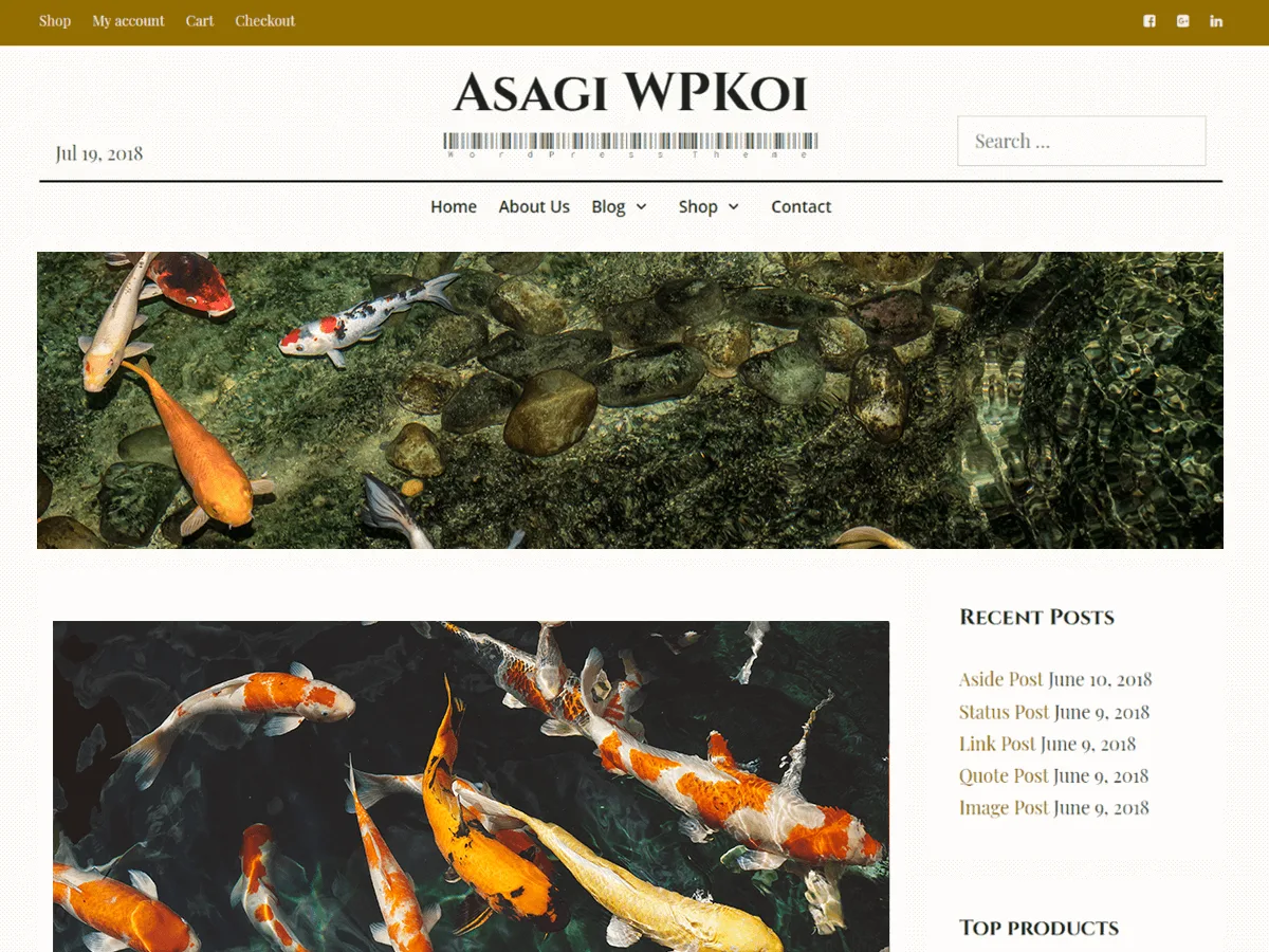 Asagi web sitesi teması önizlemesi
