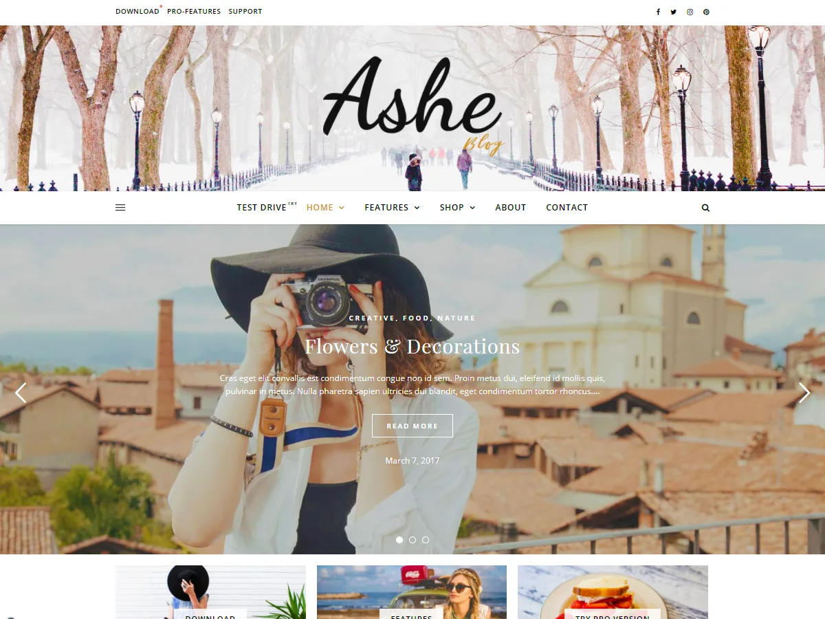 Ashe WordPress theme – minimal and elegant blog layout