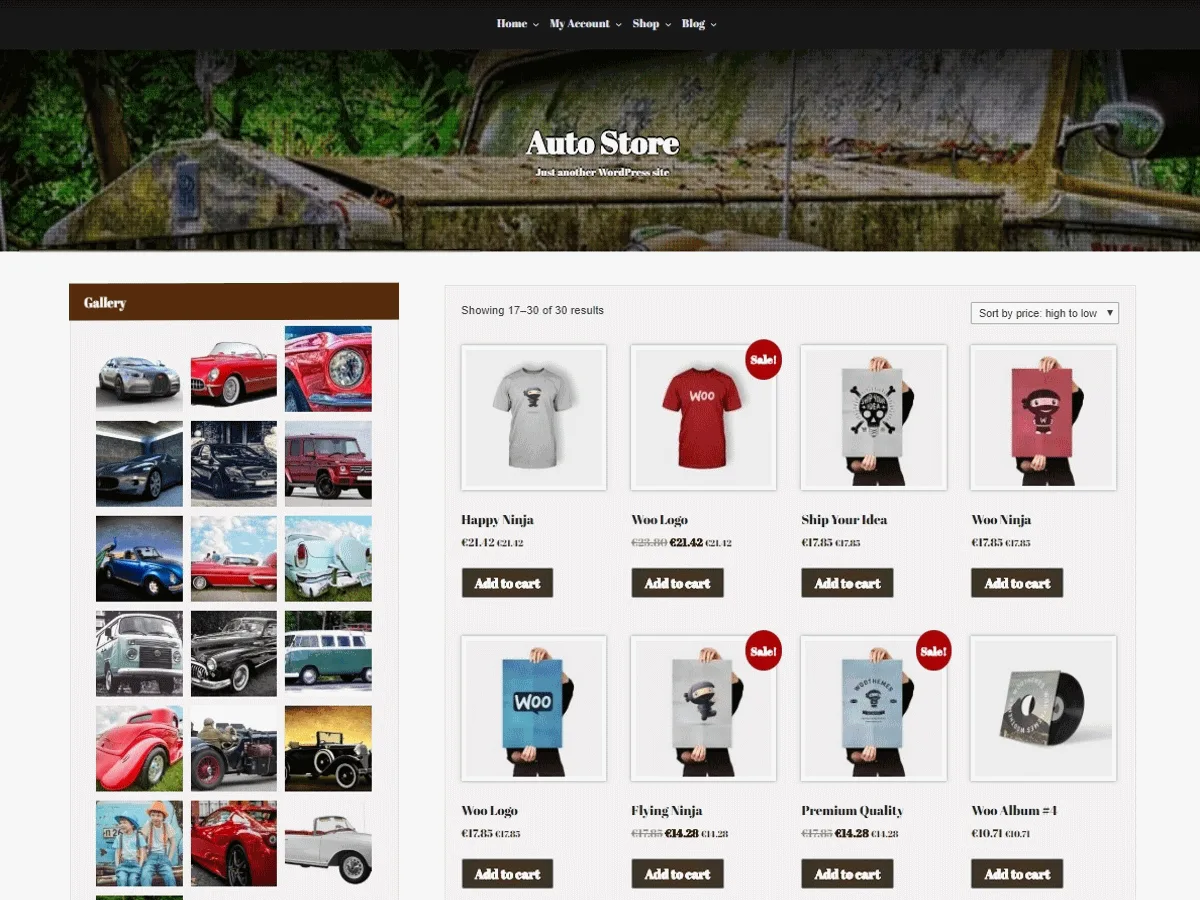 Auto Store web sitesi teması önizlemesi