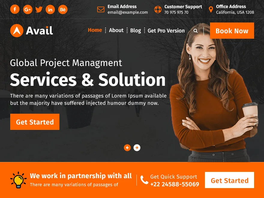 Avail web sitesi teması önizlemesi