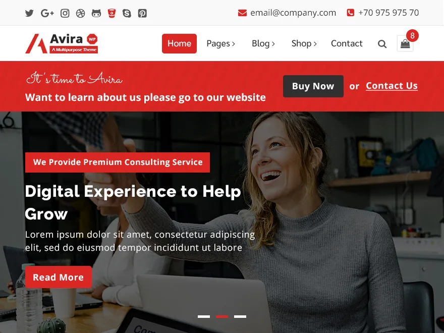 Avira web sitesi teması önizlemesi