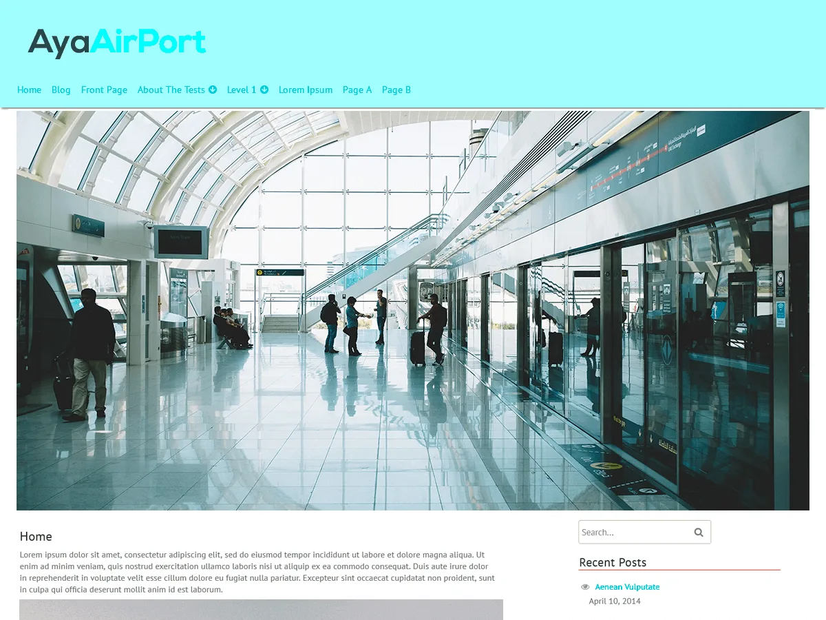 AyaAirPort web sitesi teması önizlemesi