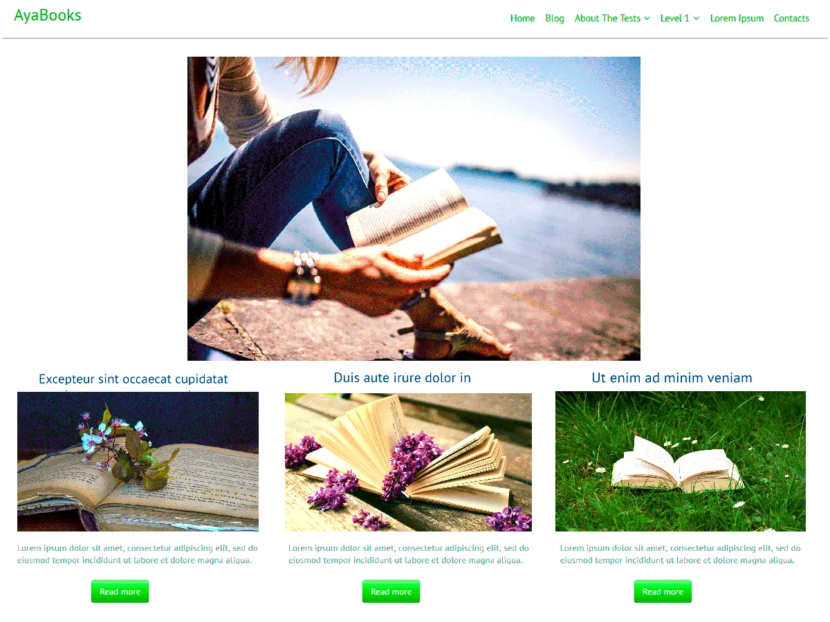 AyaBooks web sitesi teması örneği