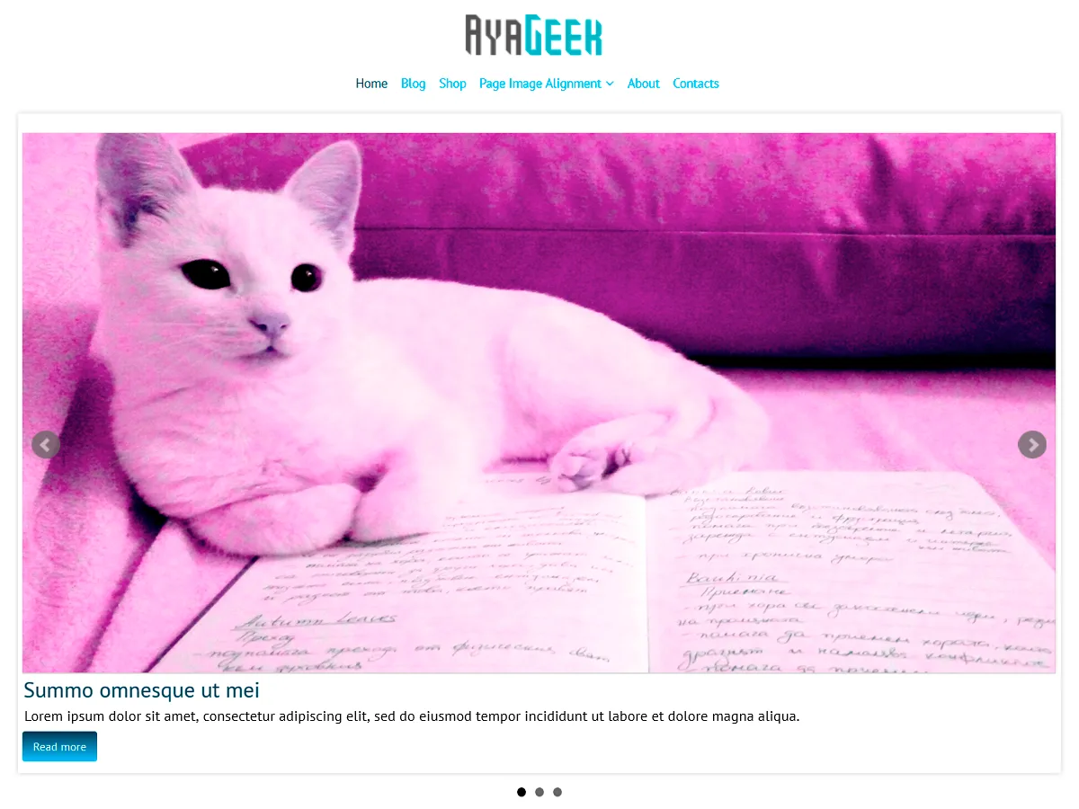 AyaGeek web sitesi teması önizlemesi
