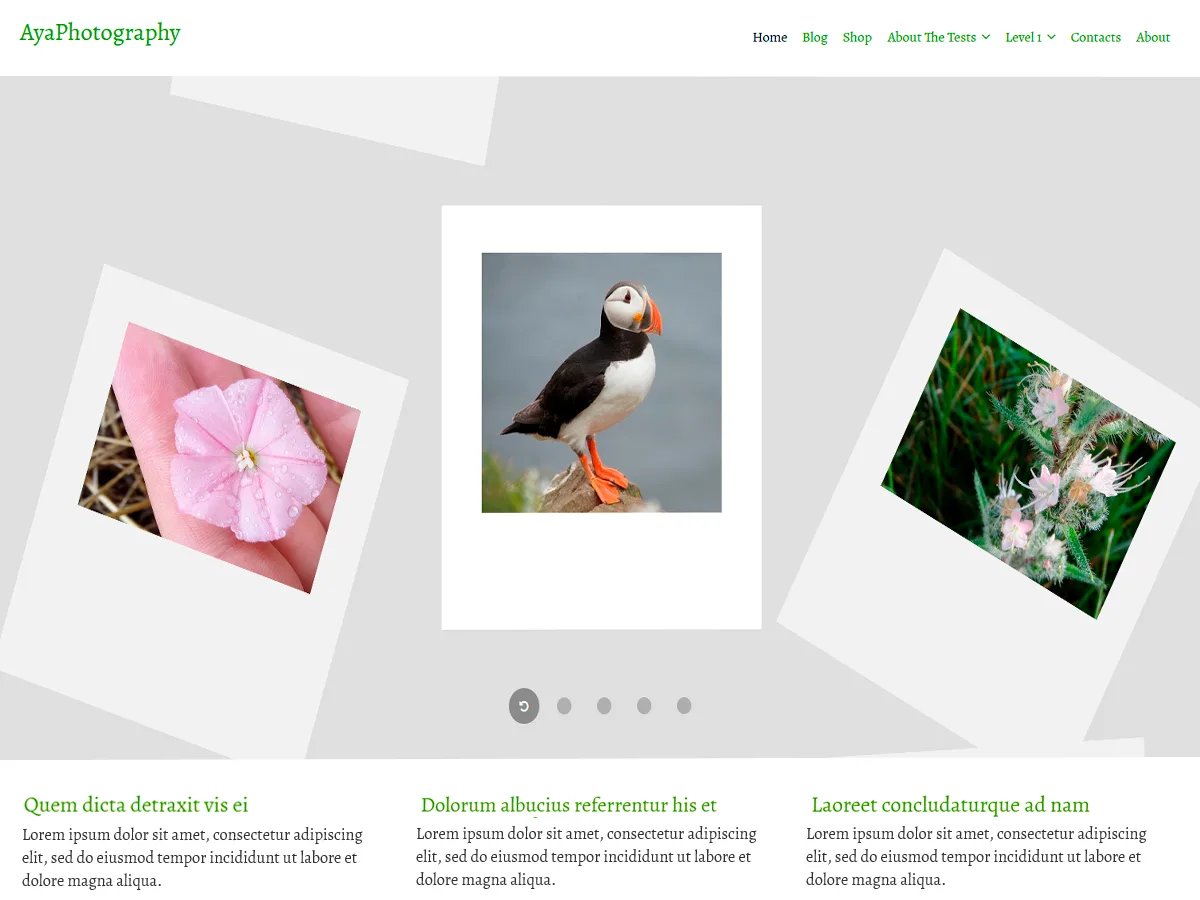 AyaPhotography web sitesi teması önizlemesi