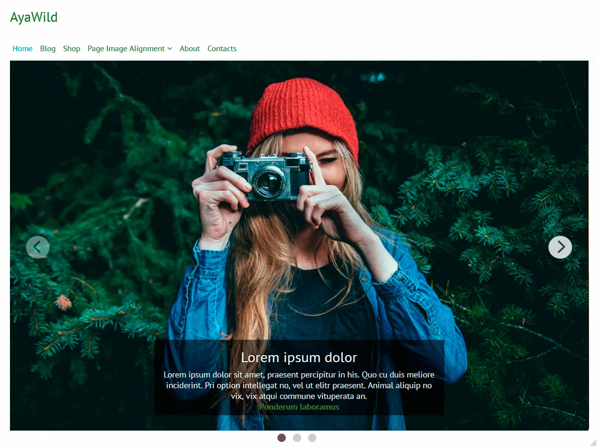 AyaWild web sitesi teması önizlemesi