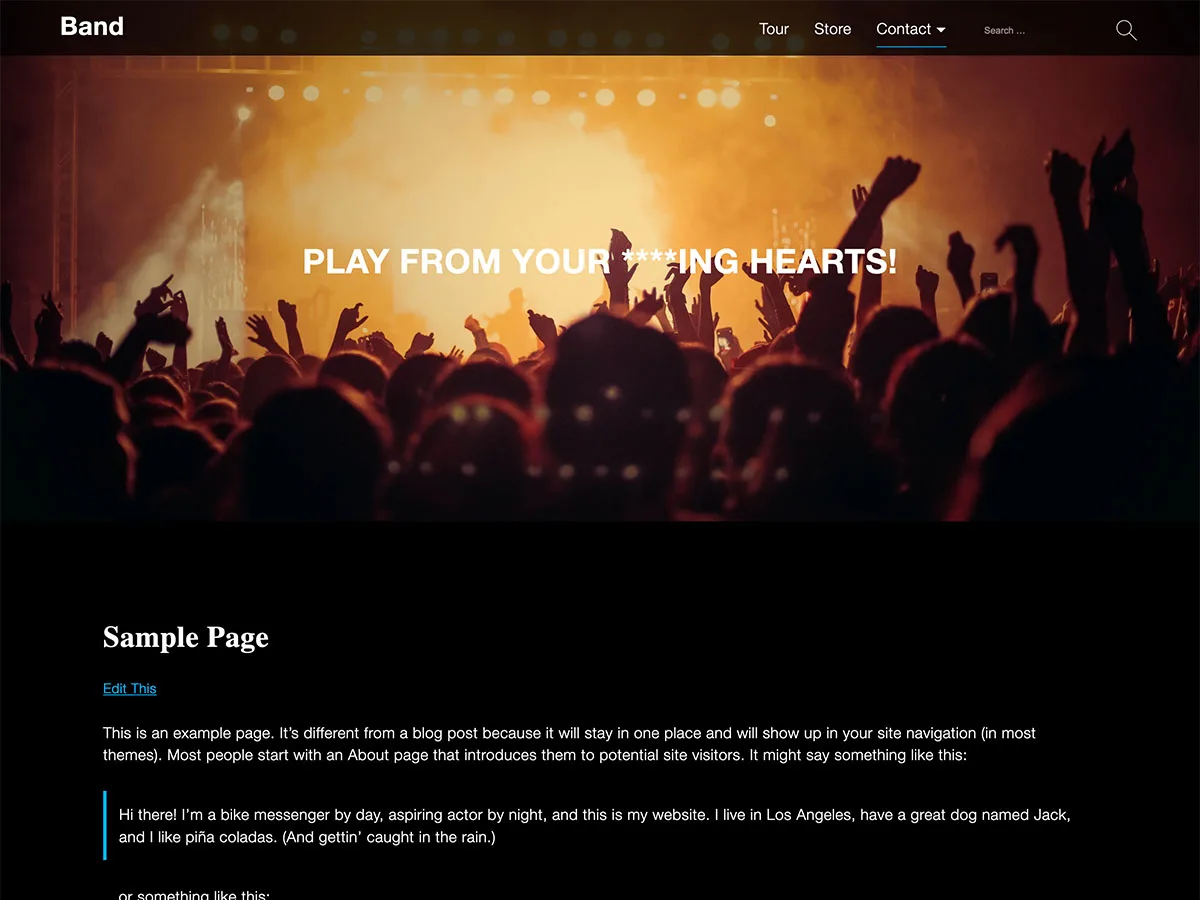 Bands web sitesi teması önizlemesi