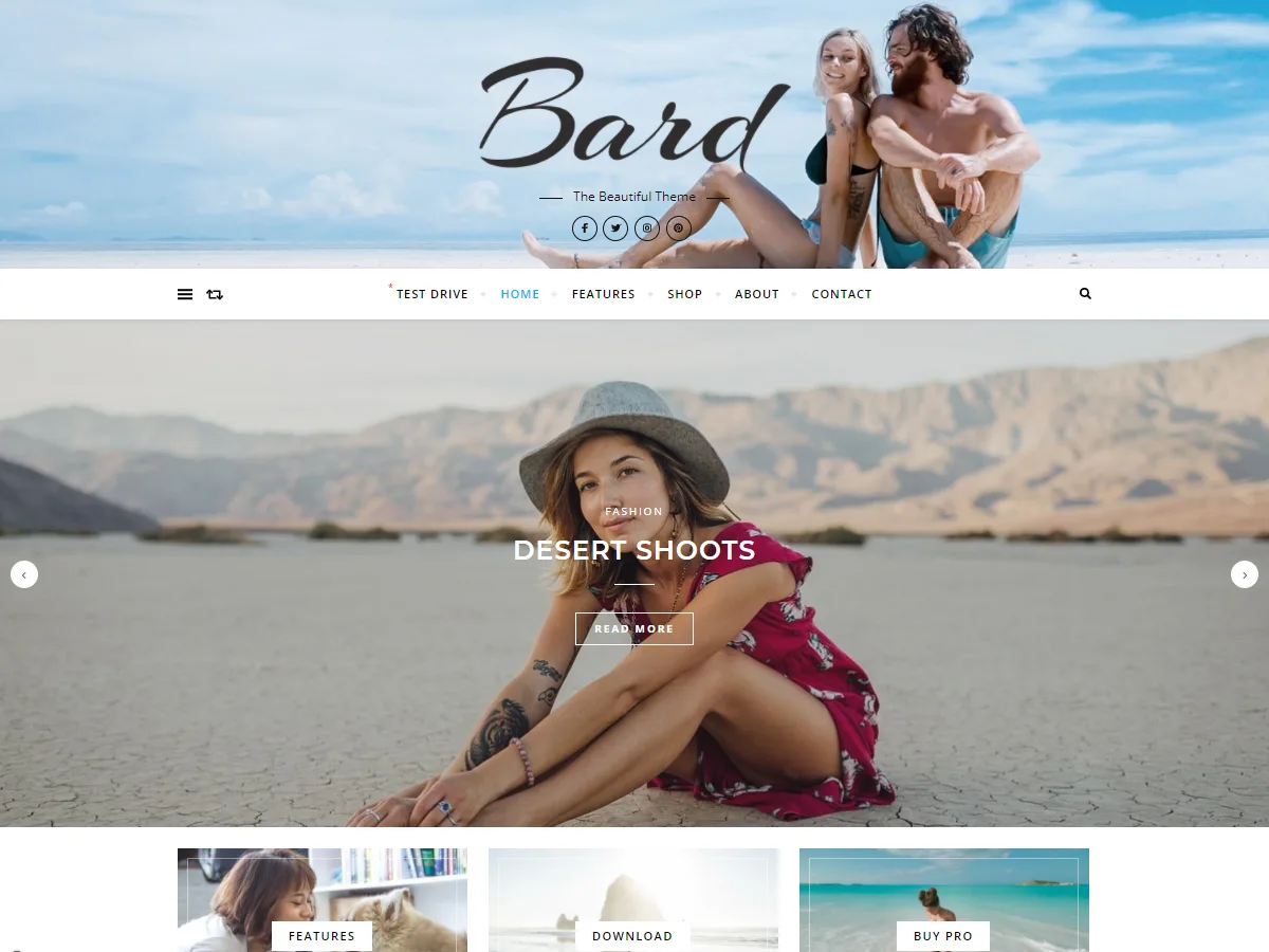 Bard web sitesi teması demo görünümü