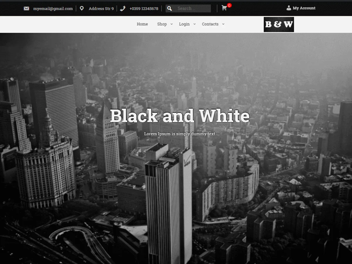 BAW web sitesi teması önizlemesi