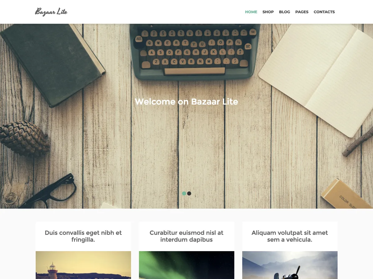 Bazaar Lite web sitesi teması önizlemesi