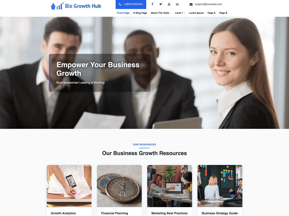 Biz Growth Hub Lite web sitesi teması önizlemesi