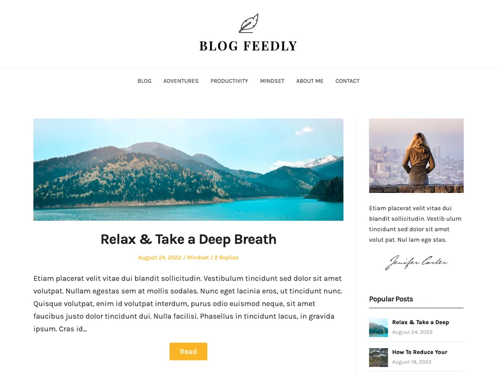 BlogFeedly web sitesi teması önizlemesi