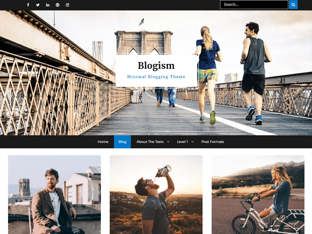 Blogism web sitesi teması önizlemesi