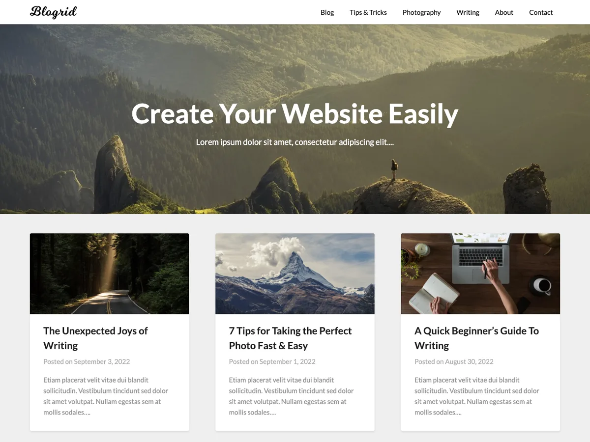 Blogrid web sitesi teması önizlemesi