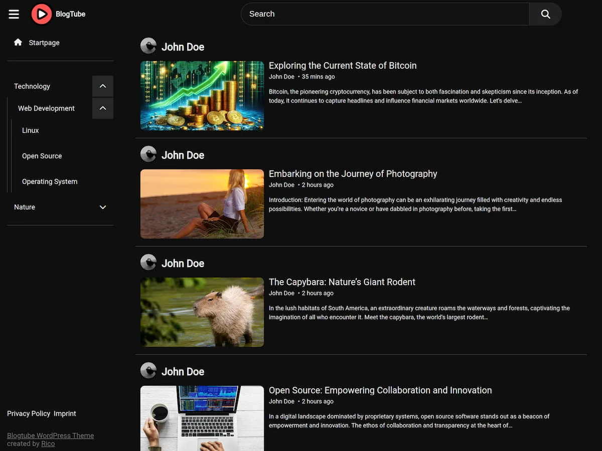 BlogTube web sitesi teması önizlemesi