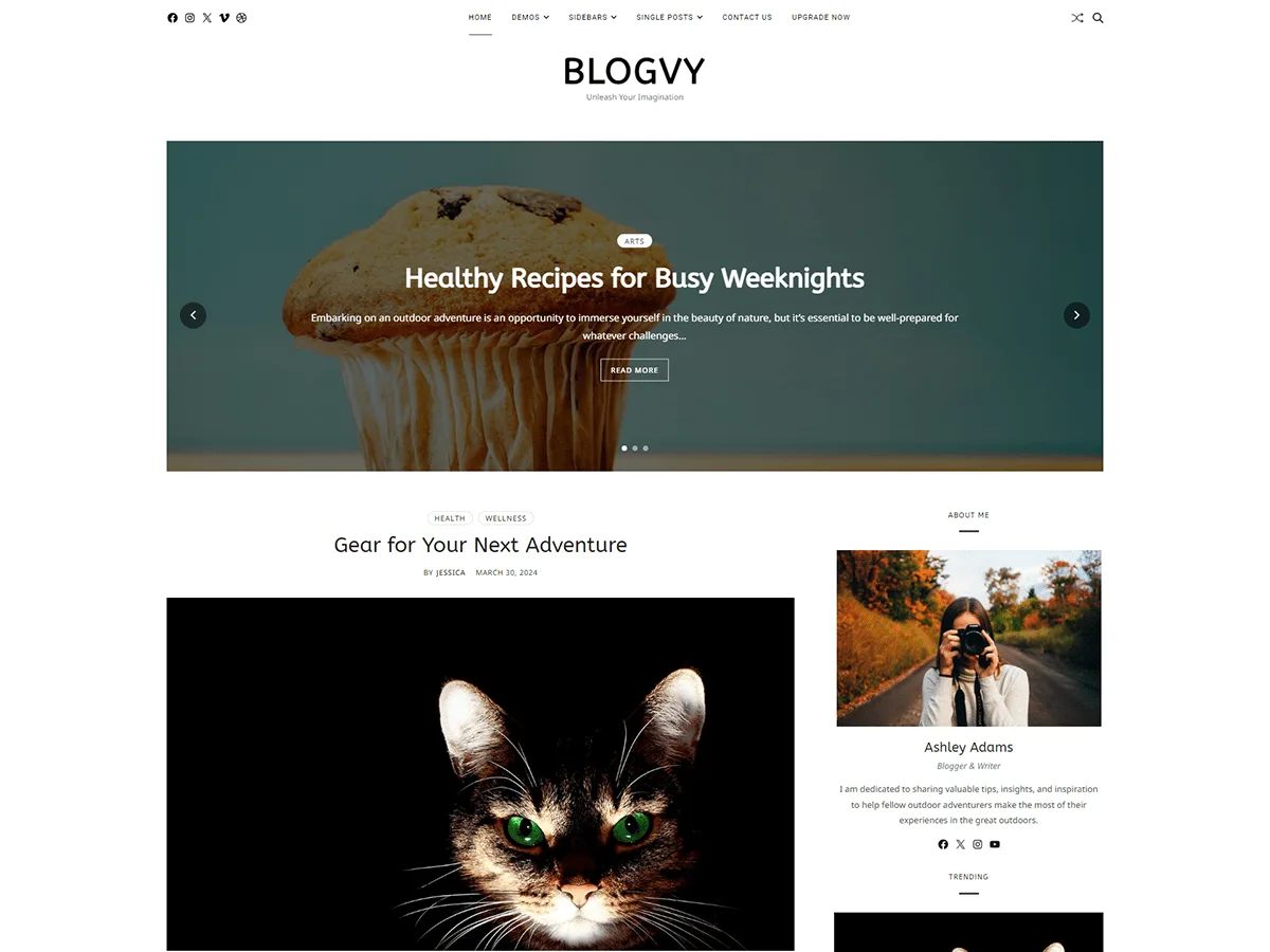 Blogvy web sitesi teması ile dinamik blog ve dergi tasarımı