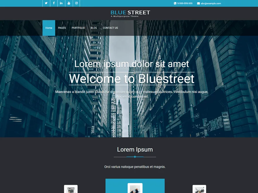 BlueStreet web sitesi teması önizlemesi