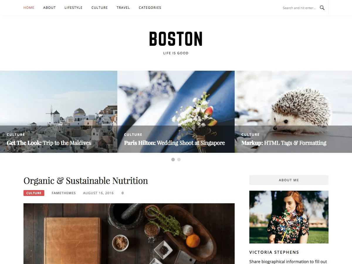 Boston web sitesi teması önizlemesi