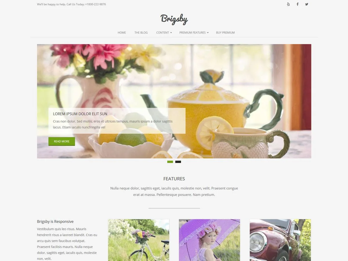Brigsby web sitesi teması önizlemesi