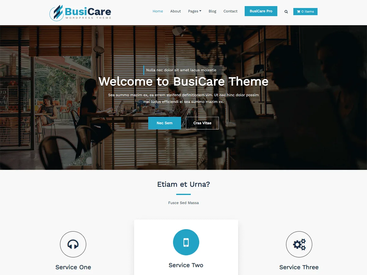 BusiCare web sitesi teması önizlemesi