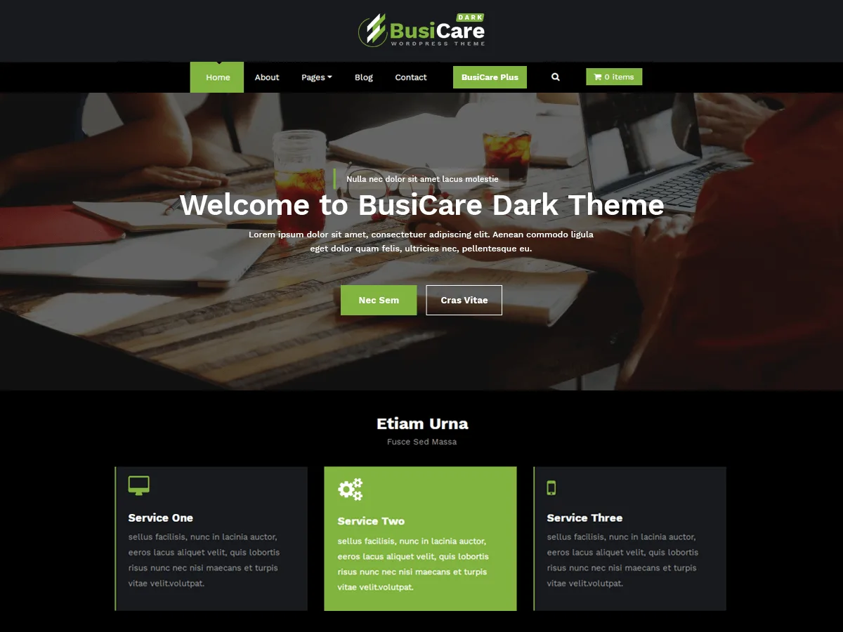BusiCare Dark web sitesi teması önizlemesi