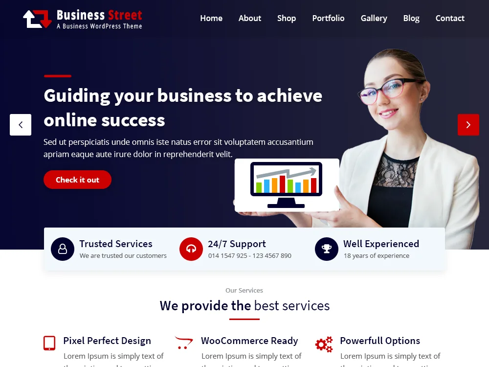 Business Street web sitesi teması önizlemesi